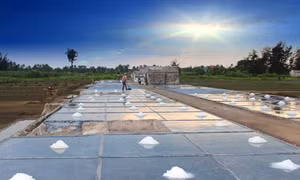 Trời càng nắng, diêm dân Quỳnh Lưu càng mừng vì hiệu quả sản xuất cao 