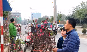 Chiều 30 Tết: Người Hà Nội thảnh thơi sắm sửa đón năm mới