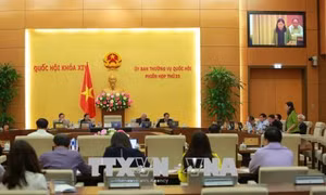 Nghị quyết về việc thành lập Viện Kiểm sát nhân dân và Tòa án nhân dân thị xã Phú Mỹ