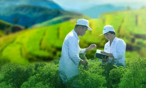 Khuyến khích doanh nghiệp công bố thông tin về sự phát triển bền vững