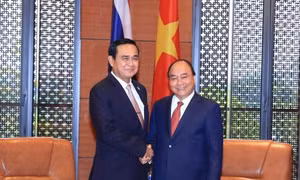 Tháo gỡ khó khăn trong nhập khẩu ô tô từ Thái Lan