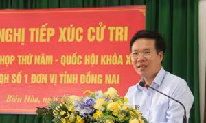 Cử tri Đồng Nai đề nghị sớm xử lý kỷ luật đối với bà Phan Thị Mỹ Thanh