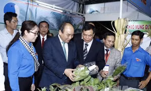 'Chính phủ kiến tạo' thổi bùng ngọn lửa khởi nghiệp