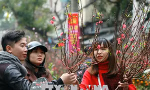 Giá cả hàng hóa ngày 30 Tết tăng nhẹ