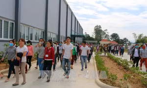 Đi làm muộn có bị trừ lương không?