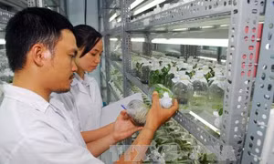 Ngành Nông nghiệp đề xuất cắt giảm 131 điều kiện kinh doanh 