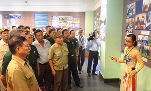 TP Hồ Chí Minh