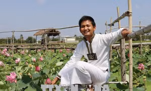 Chàng trai dân tộc Chăm cải tạo ruộng bùn sình thành cánh đồng hoa sen bát ngát