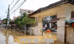 Khẩn trương khắc phục hậu quả mưa lũ, ngập úng ở thôn Bùi Xá, thị trấn Xuân Mai 