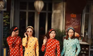 TP Hồ Chí Minh
