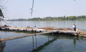 Huế xây dựng tuyến đường đi bộ lát gỗ lim phía nam sông Hương