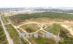 Thành phố Hồ Chí Minh: Kỷ luật hàng loạt lãnh đạo Công ty Tân Thuận