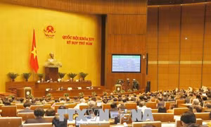 Cử tri Bình Thuận đề nghị tăng cường tuyên truyền, giúp người dân hiểu rõ về các dự án luật