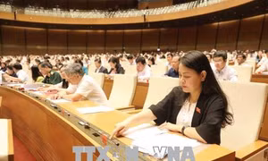 Quốc hội thông qua Luật Thể dục, thể thao sửa đổi