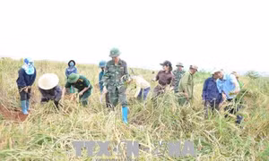 Bộ đội giúp dân vùng biên vượt qua mưa lũ