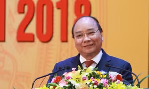 Phân công đầu mối, báo cáo tình hình phát triển doanh nghiệp