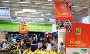 Sau vải thiều, nhãn lồng... nhiều đặc sản khác sẽ có mặt tại các siêu thị lớn