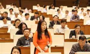 Đầu tư công: Hiếm quốc gia nào phân bổ mỗi tỉnh thành một dự án