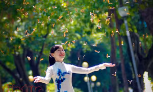 TP Hồ Chí Minh