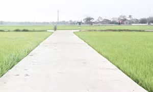 Kinh nghiệm hay từ việc sáp nhập thôn, tổ dân phố ở Yên Định, Thanh Hóa 
