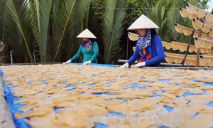 Làng nghề bánh phồng tôm ở Cà Mau nhộn nhịp vào vụ