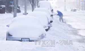 Canada hủy nhiều sự kiện mừng Năm mới vì thời tiết cực lạnh