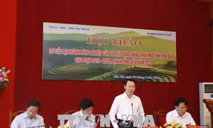  Yên Bái cơ cấu lại ngành nông nghiệp gắn với xây dựng nông thôn mới