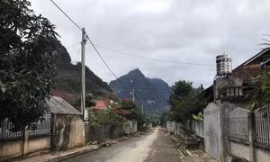 Cần sớm ổn định đời sống người dân tái định cư Thủy điện Sơn La