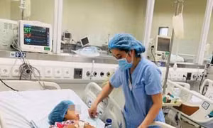 Tự làm thịt cóc ăn, bé 11 tuổi tử vong