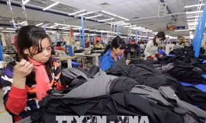 Hà Nội: Chăm lo đời sống người lao động, hạn chế thấp nhất tranh chấp phát sinh
