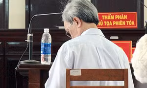 Vụ án dâm ô trẻ em tại Vũng Tàu: Ủy ban Tư pháp Quốc hội vẫn giám sát