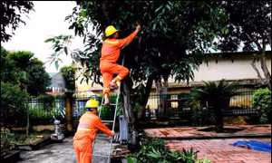 Ngành điện miền Bắc hoãn họp không cần thiết để ứng phó với bão