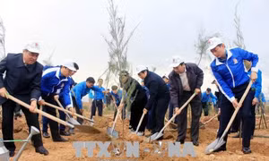 Khởi động Tháng Thanh niên và phát động Tết trồng cây Xuân Mậu Tuất 2018 