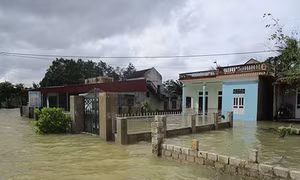 Vùng rốn lũ Nông Cống hồi sinh