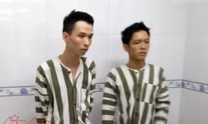 TP Hồ Chí Minh