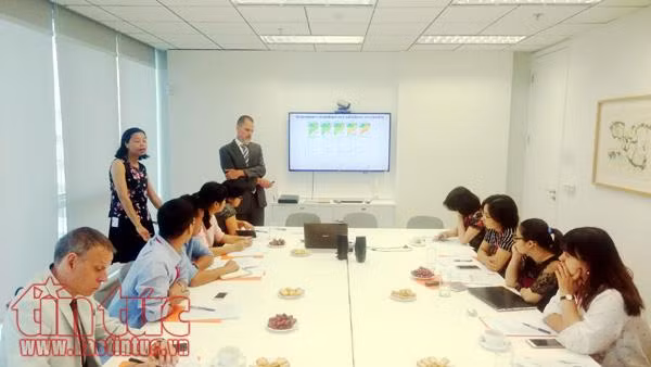 Mỗi năm, đồng bằng sông Cửu Long sụt lún vài centimet ảnh 1