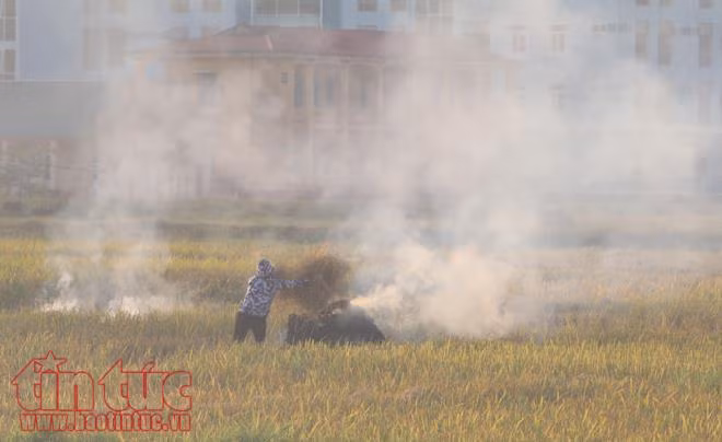 Thời tiết nóng kỷ lục, ngoại thành Hà Nội mịt mù trong khói rơm rạ ảnh 8