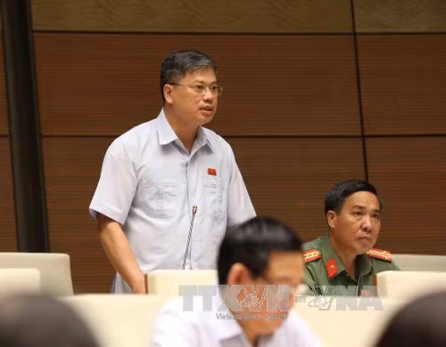 Đại biểu Nguyễn Sỹ Cương: Thịt lợn rẻ như khoai, ai chịu trách nhiệm? ảnh 1