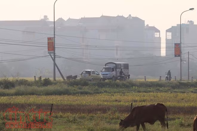 Thời tiết nóng kỷ lục, ngoại thành Hà Nội mịt mù trong khói rơm rạ ảnh 6