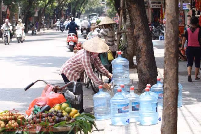 Người Hà Nội chống chọi với cái nắng nóng 'cháy da cháy thịt' ảnh 7