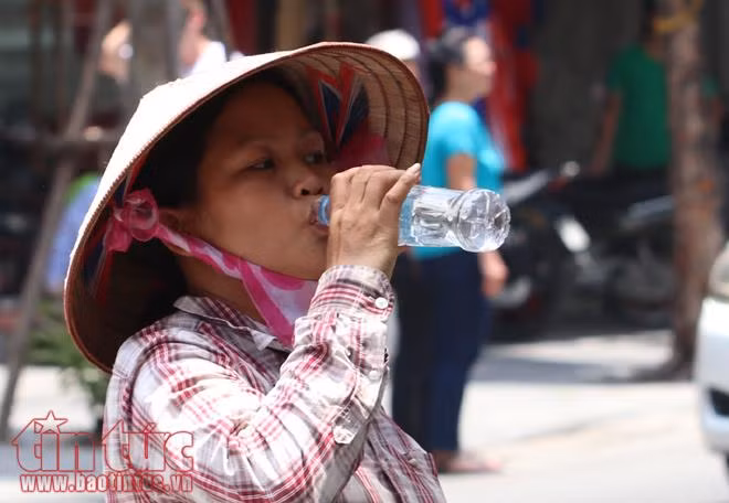 Người Hà Nội chống chọi với cái nắng nóng 'cháy da cháy thịt' ảnh 8