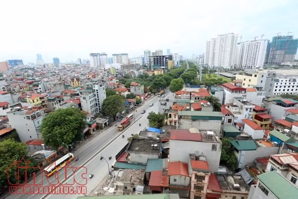 Cận cảnh hơn 1.000 cây xà cừ trong dự án mở đường trên 3.000 tỷ đồng ảnh 3