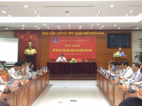 Không kiểm soát được dịch bệnh, đừng nói tới xuất khẩu thịt lợn ảnh 1