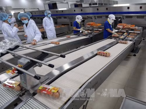 Ngăn chặn công nghệ, thiết bị lạc hậu chuyển giao vào Việt Nam ảnh 1