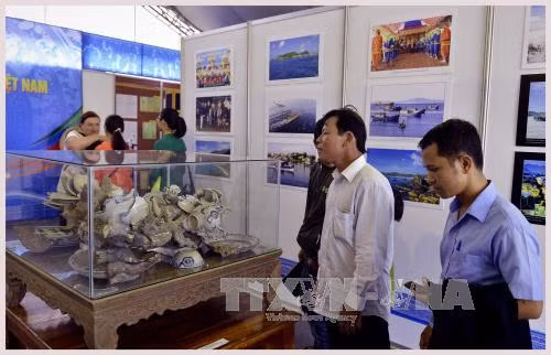 Triển lãm Di sản văn hóa biển, đảo Việt Nam tại Quảng Nam ảnh 1