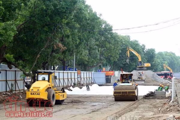 Cận cảnh hơn 1.000 cây xà cừ trong dự án mở đường trên 3.000 tỷ đồng ảnh 2