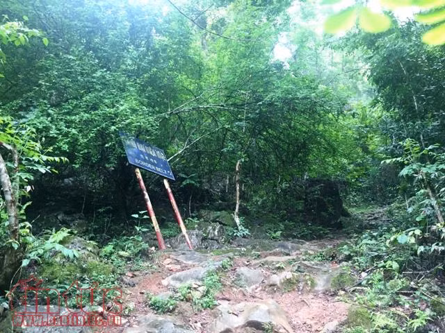 Căng sức chống buôn lậu - Bài 1: Từ tinh vi đến táo tợn ảnh 1