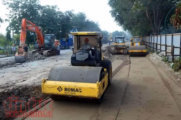 Cận cảnh hơn 1.000 cây xà cừ trong dự án mở đường trên 3.000 tỷ đồng ảnh 1