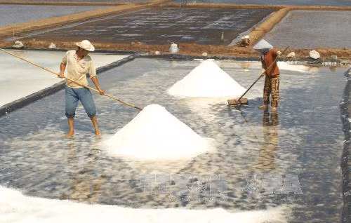Giá muối tăng mạnh, nhiều diêm dân không còn muối để bán ảnh 1