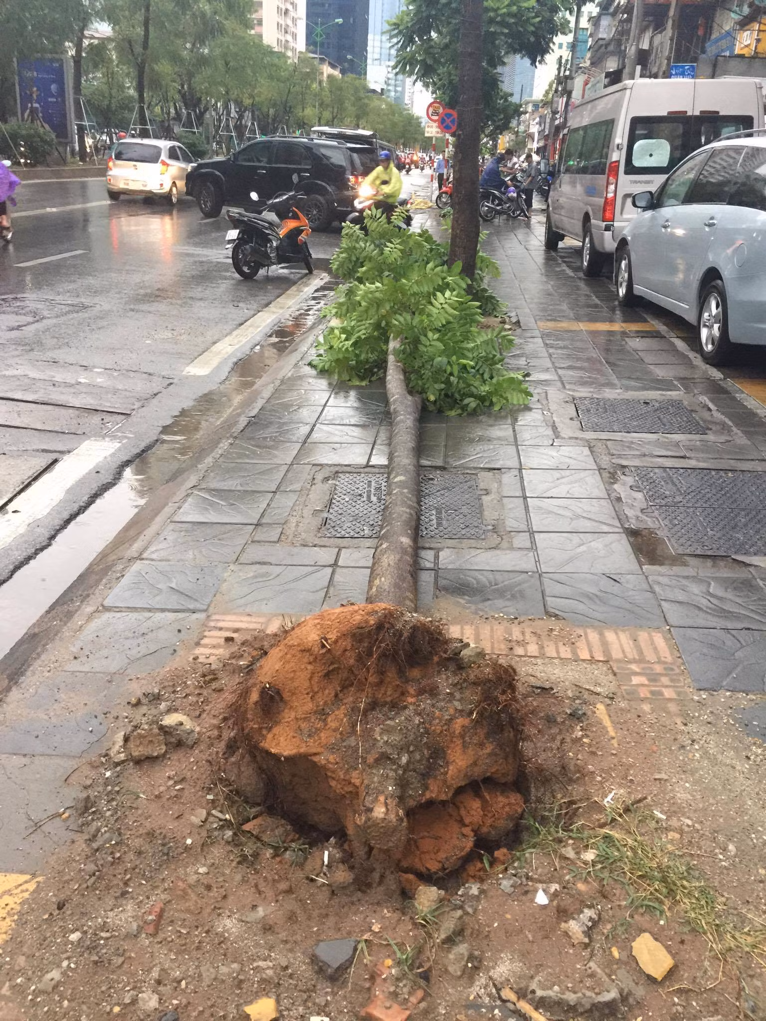 Hà Nội đón 'cơn mưa vàng' giải nhiệt, nhiều con ngõ ngập nước ảnh 6